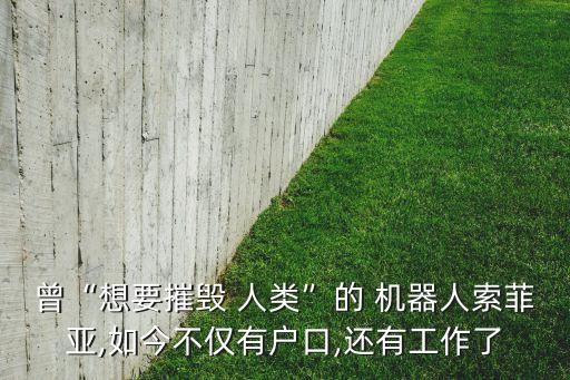 曾“想要摧毀 人類”的 機(jī)器人索菲亞,如今不僅有戶口,還有工作了