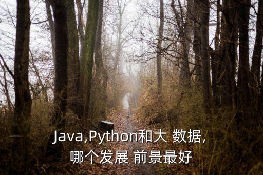 大數(shù)據(jù)比java有前景嗎,java和大數(shù)據(jù)哪個前景好些
