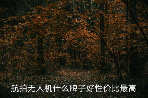 航拍無人機什么牌子好性價比最高