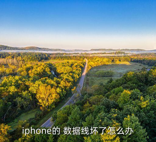 蘋果數(shù)據(jù)線頭斷了