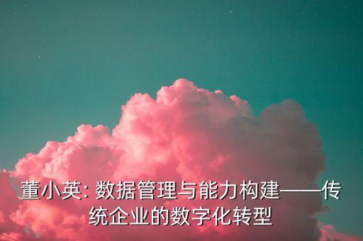 董小英: 數(shù)據(jù)管理與能力構(gòu)建——傳統(tǒng)企業(yè)的數(shù)字化轉(zhuǎn)型