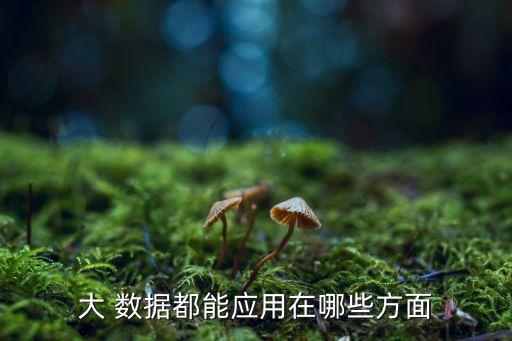 大數(shù)據(jù)故障預(yù)測與分析,蘋果11分析數(shù)據(jù)故障代碼