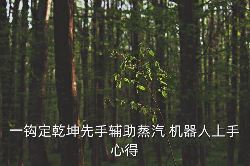一鉤定乾坤先手輔助蒸汽 機(jī)器人上手心得