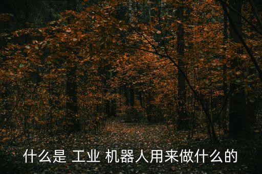工業(yè)機器人 普通工人