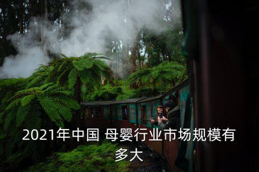 母嬰電商網(wǎng)站數(shù)據(jù),跨境電商母嬰用品調(diào)研數(shù)據(jù)