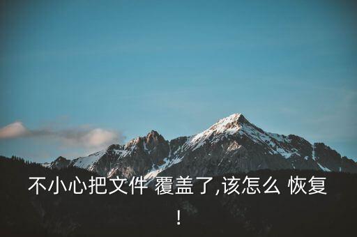 不小心把文件 覆蓋了,該怎么 恢復(fù)!
