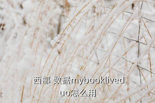 西部數(shù)據(jù)怎么使用方法