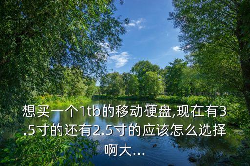 想買一個(gè)1tb的移動(dòng)硬盤,現(xiàn)在有3.5寸的還有2.5寸的應(yīng)該怎么選擇啊大...