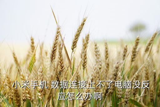  小米手機(jī) 數(shù)據(jù)連接上不了電腦沒(méi)反應(yīng)怎么辦啊