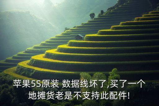 蘋果5S原裝 數(shù)據(jù)線壞了,買了一個(gè)地?cái)傌浝鲜遣恢С执伺浼?