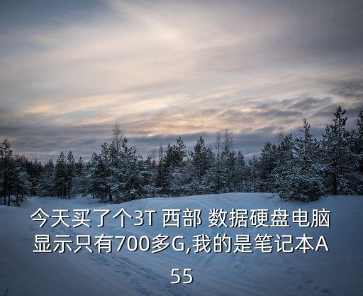 西部數(shù)據(jù) 3t參數(shù)