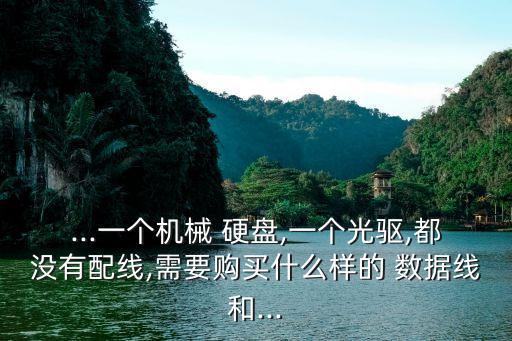 ...一個(gè)機(jī)械 硬盤,一個(gè)光驅(qū),都沒有配線,需要購買什么樣的 數(shù)據(jù)線和...