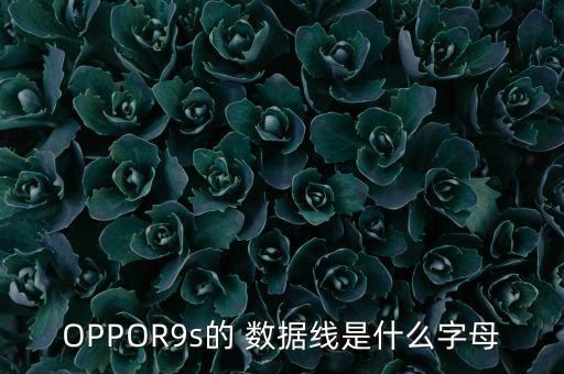OPPOR9s的 數(shù)據(jù)線是什么字母