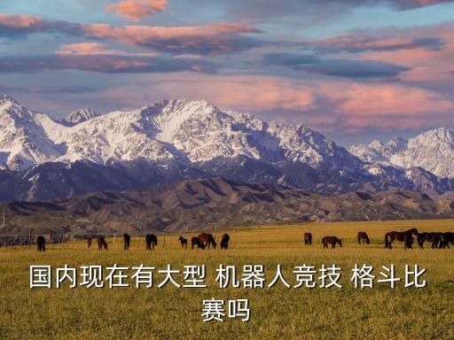 格斗機器人多少元,機器人角斗場