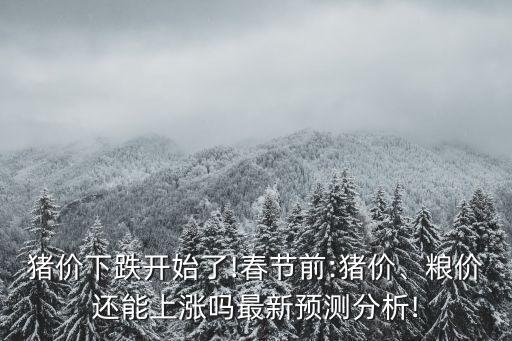 大數(shù)據(jù)價(jià)格變化,model y歷史價(jià)格變化
