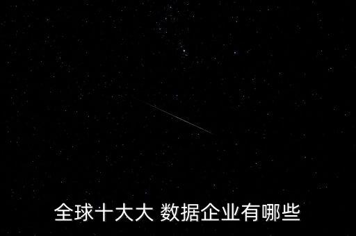 全球十大大 數(shù)據(jù)企業(yè)有哪些