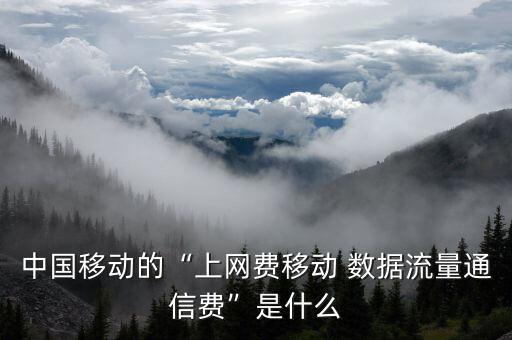 中國移動(dòng)的“上網(wǎng)費(fèi)移動(dòng) 數(shù)據(jù)流量通信費(fèi)”是什么