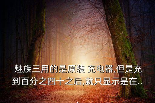 魅族數據線只能充電,魅族17可以用5a數據線充電嗎