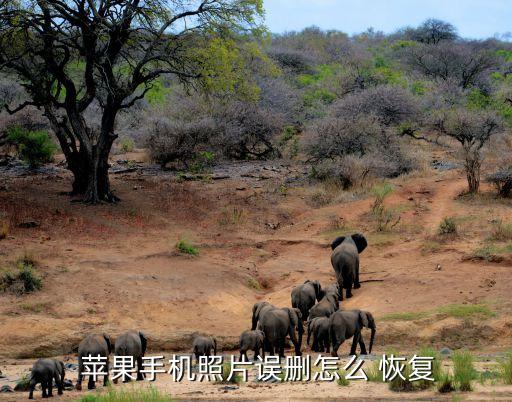 如何刪除蘋果數(shù)據(jù)恢復(fù)軟件,蘋果如何刪除聯(lián)系人