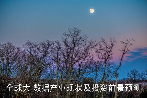 全球大 數據產業(yè)現狀及投資前景預測