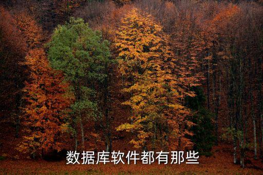  數(shù)據(jù)庫軟件都有那些