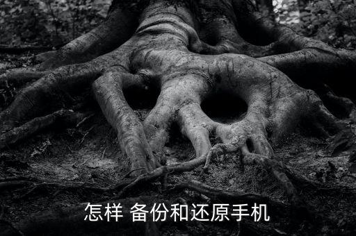 怎樣 備份和還原手機(jī)