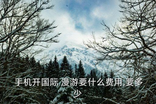 手機(jī)數(shù)據(jù)漫游怎么收費(fèi),手機(jī)打開數(shù)據(jù)漫游會另收費(fèi)嗎?