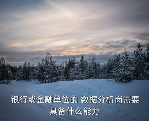  銀行或金融單位的 數(shù)據(jù)分析崗需要具備什么能力