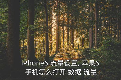 iPhone6 流量設(shè)置, 蘋(píng)果6 手機(jī)怎么打開(kāi) 數(shù)據(jù) 流量