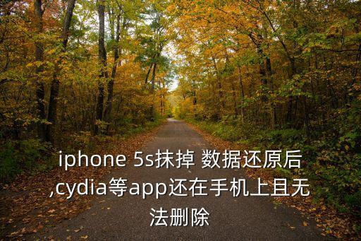 蘋果5s清除數(shù)據(jù),撿到的蘋果5s強制清除id