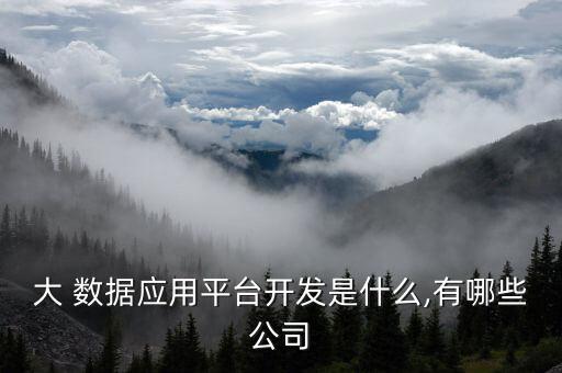 大數(shù)據(jù)研發(fā)