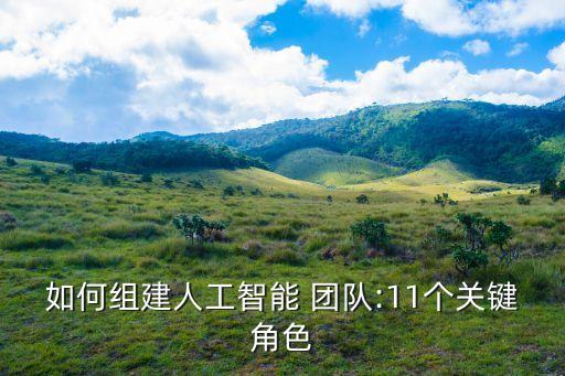 如何組建人工智能 團(tuán)隊:11個關(guān)鍵角色