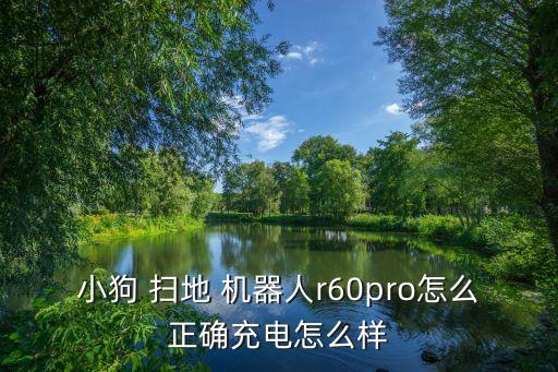 小狗 掃地 機器人r60pro怎么正確充電怎么樣