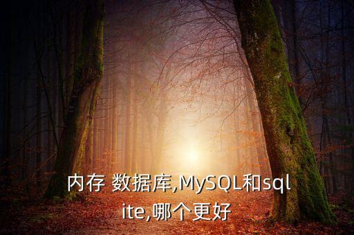  內(nèi)存 數(shù)據(jù)庫(kù),MySQL和sqlite,哪個(gè)更好
