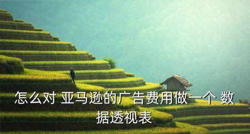 亞馬遜銷售額數(shù)據(jù)圖