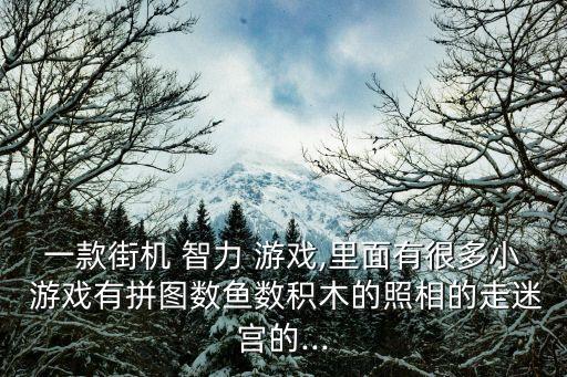一款街機(jī) 智力 游戲,里面有很多小 游戲有拼圖數(shù)魚數(shù)積木的照相的走迷宮的...