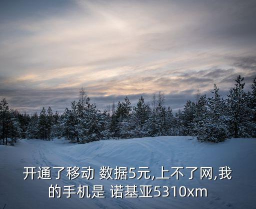 諾基亞移動(dòng)數(shù)據(jù)