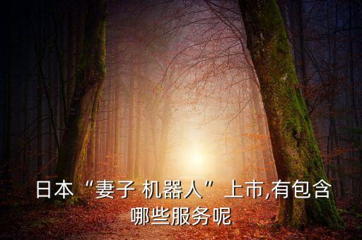 日本機器人租賃