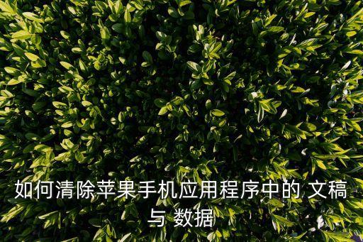如何清除蘋果手機應(yīng)用程序中的 文稿與 數(shù)據(jù)