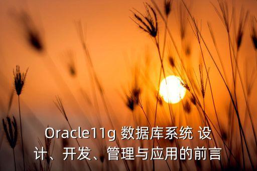Oracle11g 數(shù)據(jù)庫(kù)系統(tǒng) 設(shè)計(jì)、開發(fā)、管理與應(yīng)用的前言