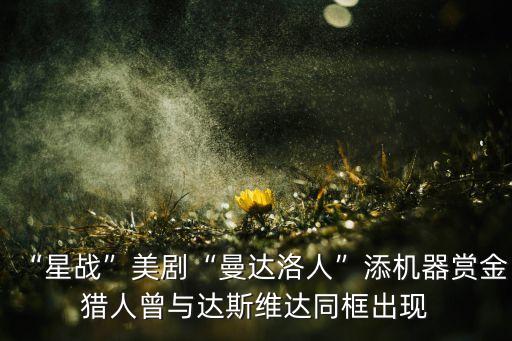 “星戰(zhàn)”美劇“曼達(dá)洛人”添機(jī)器賞金獵人曾與達(dá)斯維達(dá)同框出現(xiàn)
