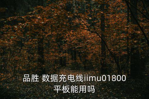 品勝 數(shù)據(jù)充電線iimu01800平板能用嗎