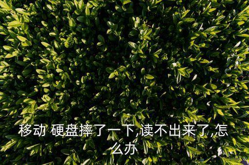 硬盤被摔之后數(shù)據(jù)怎么恢復(fù)