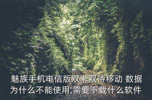  魅族手機(jī)電信版雙卡雙待移動 數(shù)據(jù)為什么不能使用,需要下載什么軟件