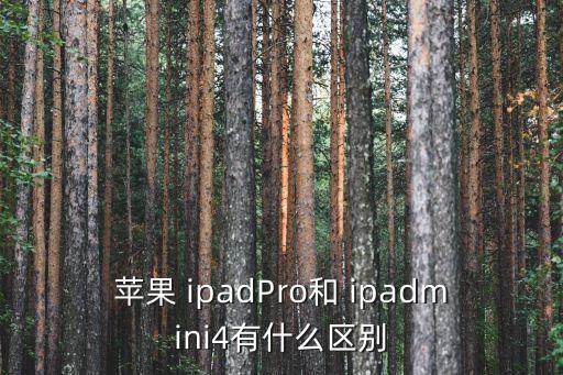 蘋果 ipadPro和 ipadmini4有什么區(qū)別