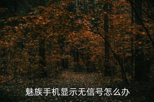 魅族手機(jī)顯示無信號怎么辦