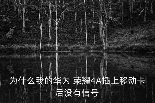 榮耀4a 怎么用不了移動(dòng)數(shù)據(jù)