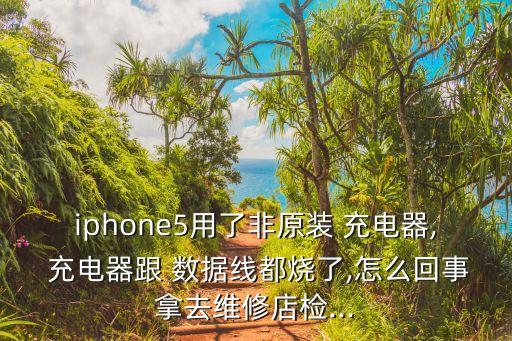 iphone5用了非原裝 充電器, 充電器跟 數(shù)據(jù)線都燒了,怎么回事拿去維修店檢...