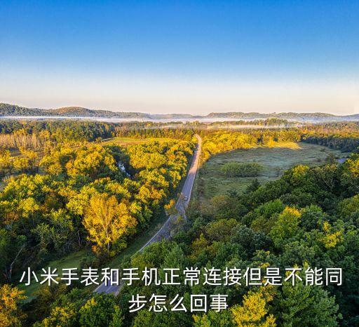  小米手表和手機(jī)正常連接但是不能同步怎么回事
