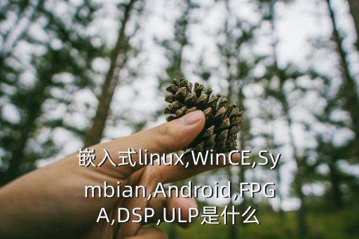 微軟 數(shù)據(jù)中心 fpga,微軟的數(shù)據(jù)中心在哪里